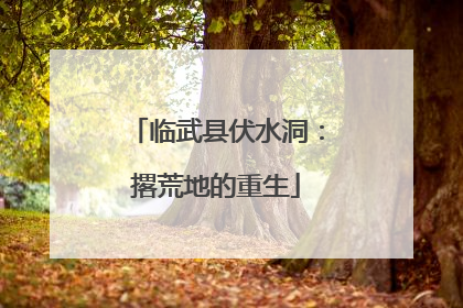 临武县伏水洞：撂荒地的重生