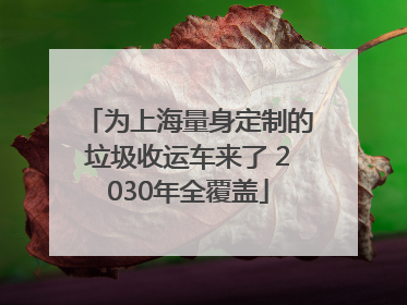 为上海量身定制的垃圾收运车来了 2030年全覆盖