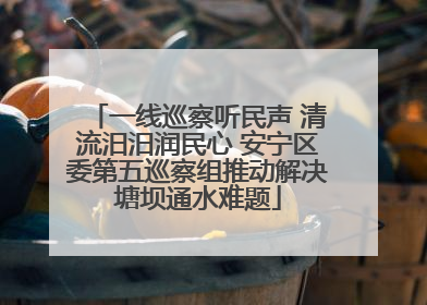 一线巡察听民声 清流汨汨润民心 安宁区委第五巡察组推动解决塘坝通水难题