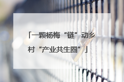 一颗杨梅“链”动乡村“产业共生圈”