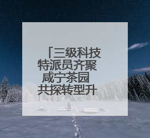 三级科技特派员齐聚咸宁茶园 共探转型升级之路
