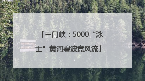 三门峡：5000“泳士”黄河碧波竞风流