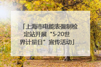 上海市电能表强制检定站开展“5·20世界计量日”宣传活动
