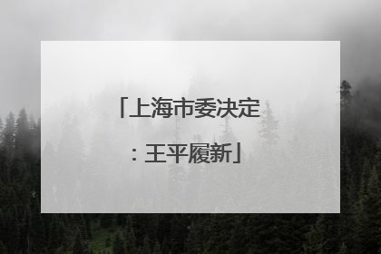 上海市委决定：王平履新