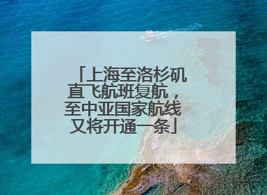 上海至洛杉矶直飞航班复航，至中亚国家航线又将开通一条