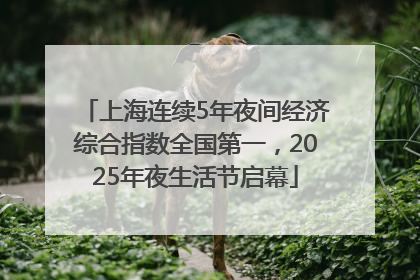 上海连续5年夜间经济综合指数全国第一，2025年夜生活节启幕