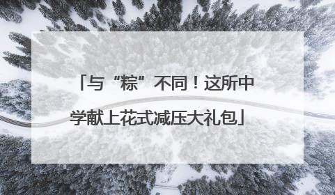 与“粽”不同！这所中学献上花式减压大礼包