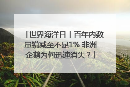 世界海洋日丨百年内数量锐减至不足1% 非洲企鹅为何迅速消失？