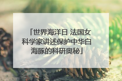 世界海洋日 法国女科学家讲述保护中华白海豚的科研奥秘