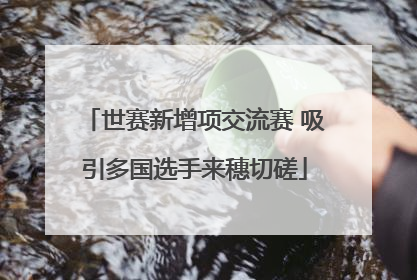 世赛新增项交流赛 吸引多国选手来穗切磋