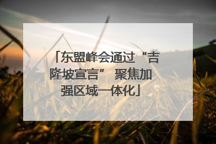 东盟峰会通过“吉隆坡宣言” 聚焦加强区域一体化