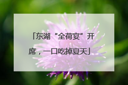 东湖“全荷宴”开席，一口吃掉夏天