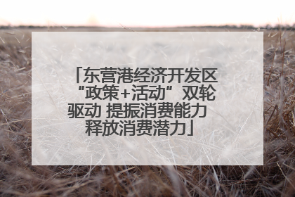 东营港经济开发区“政策+活动”双轮驱动 提振消费能力 释放消费潜力