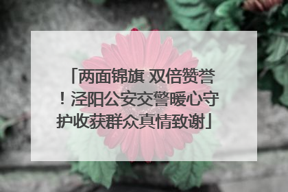 两面锦旗 双倍赞誉！泾阳公安交警暖心守护收获群众真情致谢