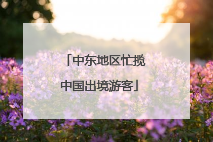 中东地区忙揽中国出境游客