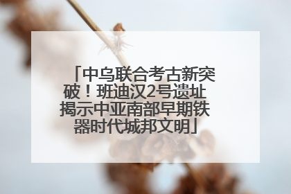 中乌联合考古新突破！班迪汉2号遗址揭示中亚南部早期铁器时代城邦文明