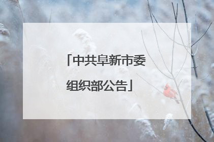 中共阜新市委组织部公告