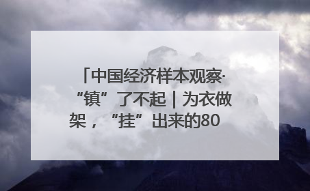 中国经济样本观察·“镇”了不起｜为衣做架，“挂”出来的80亿元“衣架产业”