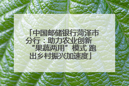 中国邮储银行菏泽市分行：助力农业创新 “果蔬两用”模式 跑出乡村振兴加速度