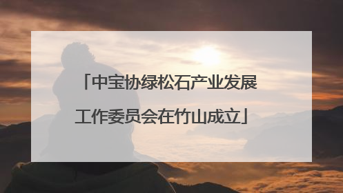 中宝协绿松石产业发展工作委员会在竹山成立
