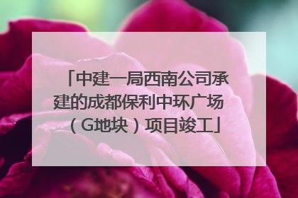 中建一局西南公司承建的成都保利中环广场（G地块）项目竣工