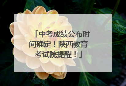 中考成绩公布时间确定！陕西教育考试院提醒！