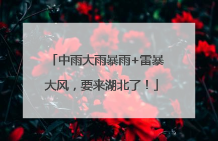 中雨大雨暴雨+雷暴大风，要来湖北了！