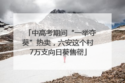中高考期间“一举夺葵”热卖，六安这个村7万支向日葵售罄