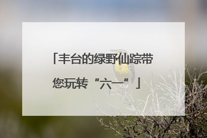丰台的绿野仙踪带您玩转“六一”