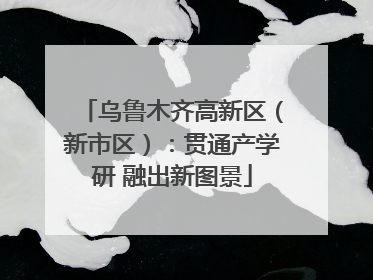 乌鲁木齐高新区（新市区）：贯通产学研 融出新图景