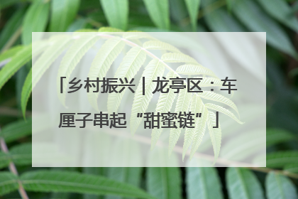 乡村振兴｜龙亭区：车厘子串起“甜蜜链”