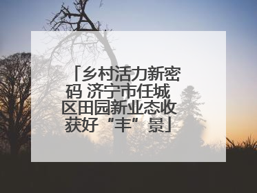 乡村活力新密码 济宁市任城区田园新业态收获好“丰”景