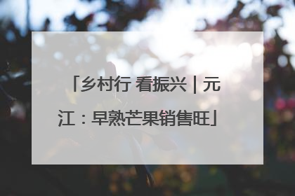 乡村行 看振兴｜元江：早熟芒果销售旺