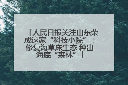 人民日报关注山东荣成这家“科技小院”：修复海草床生态 种出海底“森林”