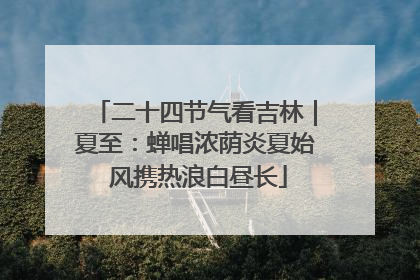 二十四节气看吉林｜夏至：蝉唱浓荫炎夏始 风携热浪白昼长