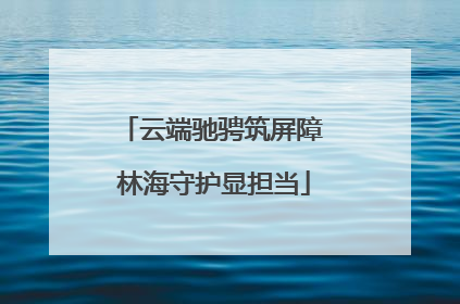 云端驰骋筑屏障 林海守护显担当