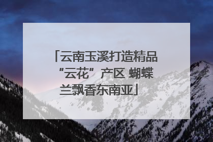 云南玉溪打造精品“云花”产区 蝴蝶兰飘香东南亚