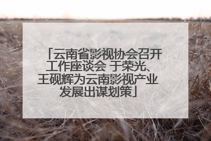云南省影视协会召开工作座谈会 于荣光、王砚辉为云南影视产业发展出谋划策