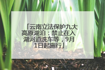 云南立法保护九大高原湖泊：禁止在入湖河道洗车等，9月1日起施行