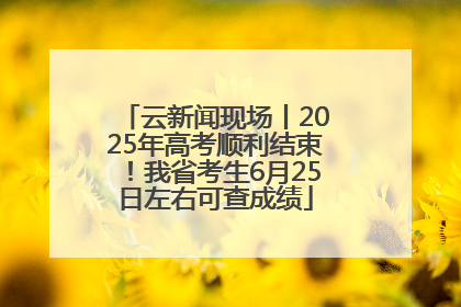 云新闻现场丨2025年高考顺利结束！我省考生6月25日左右可查成绩