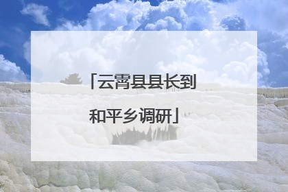 云霄县县长到和平乡调研
