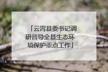 云霄县委书记调研督导全县生态环境保护重点工作