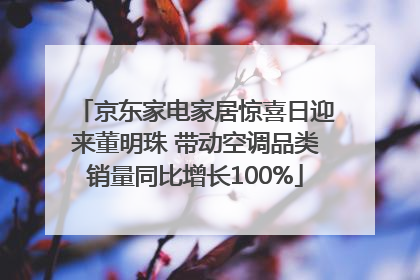 京东家电家居惊喜日迎来董明珠 带动空调品类销量同比增长100%