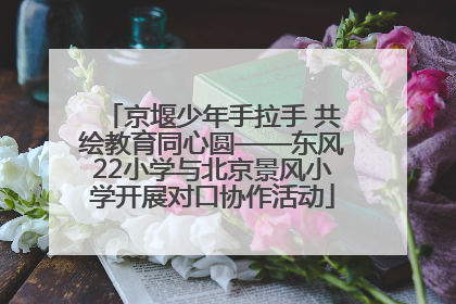 京堰少年手拉手 共绘教育同心圆——东风22小学与北京景风小学开展对口协作活动