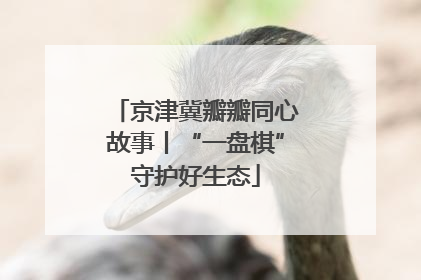 京津冀瓣瓣同心故事丨“一盘棋”守护好生态