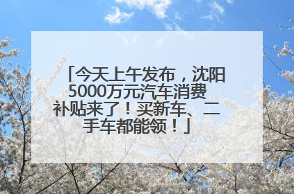 今天上午发布，沈阳5000万元汽车消费补贴来了！买新车、二手车都能领！