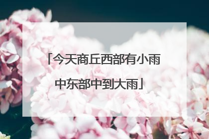 今天商丘西部有小雨 中东部中到大雨