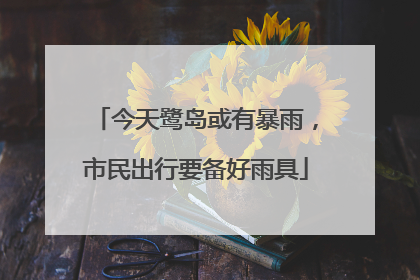 今天鹭岛或有暴雨，市民出行要备好雨具