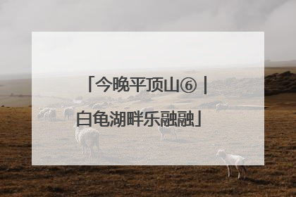 今晚平顶山⑥｜白龟湖畔乐融融