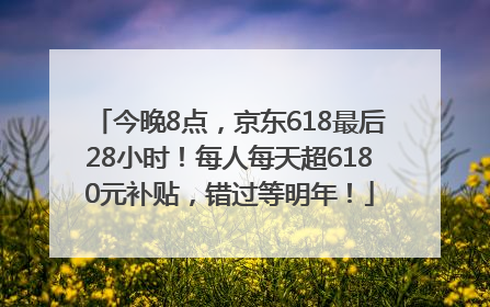 今晚8点，京东618最后28小时！每人每天超6180元补贴，错过等明年！